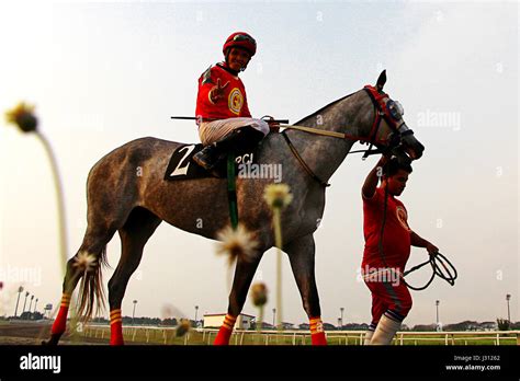 philracom horse performance.
